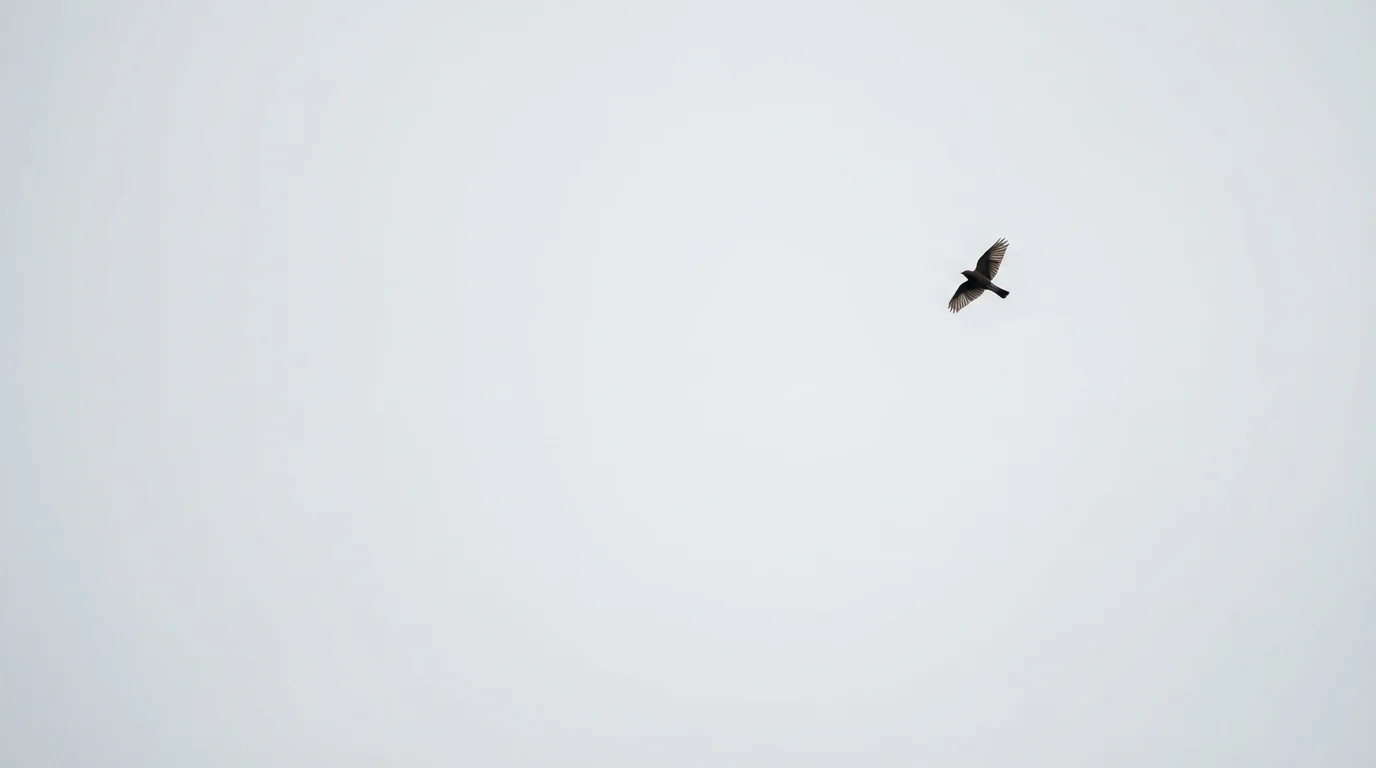 A single small bird flies in a vast, empty overcast sky, demonstrating negative space.
