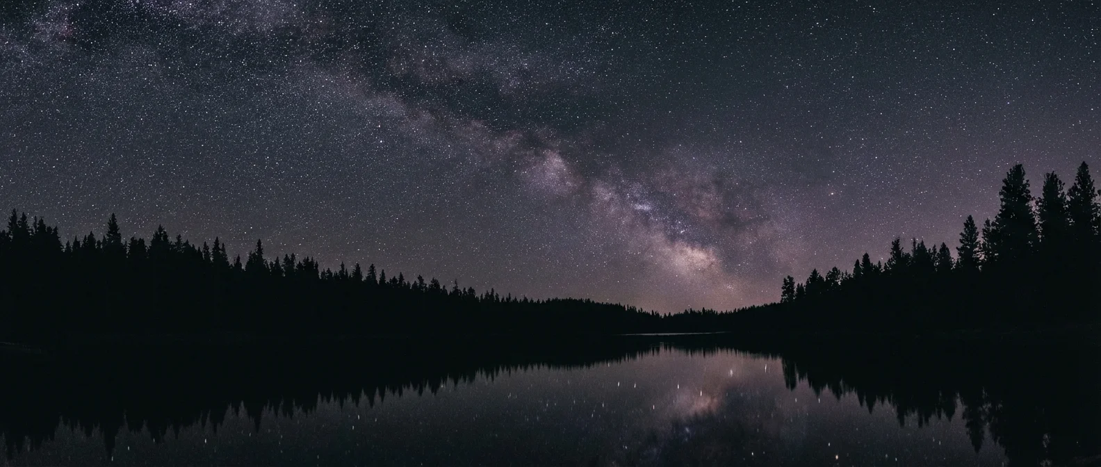 A dark, clear night sky filled with stars over a silhouetted forest.