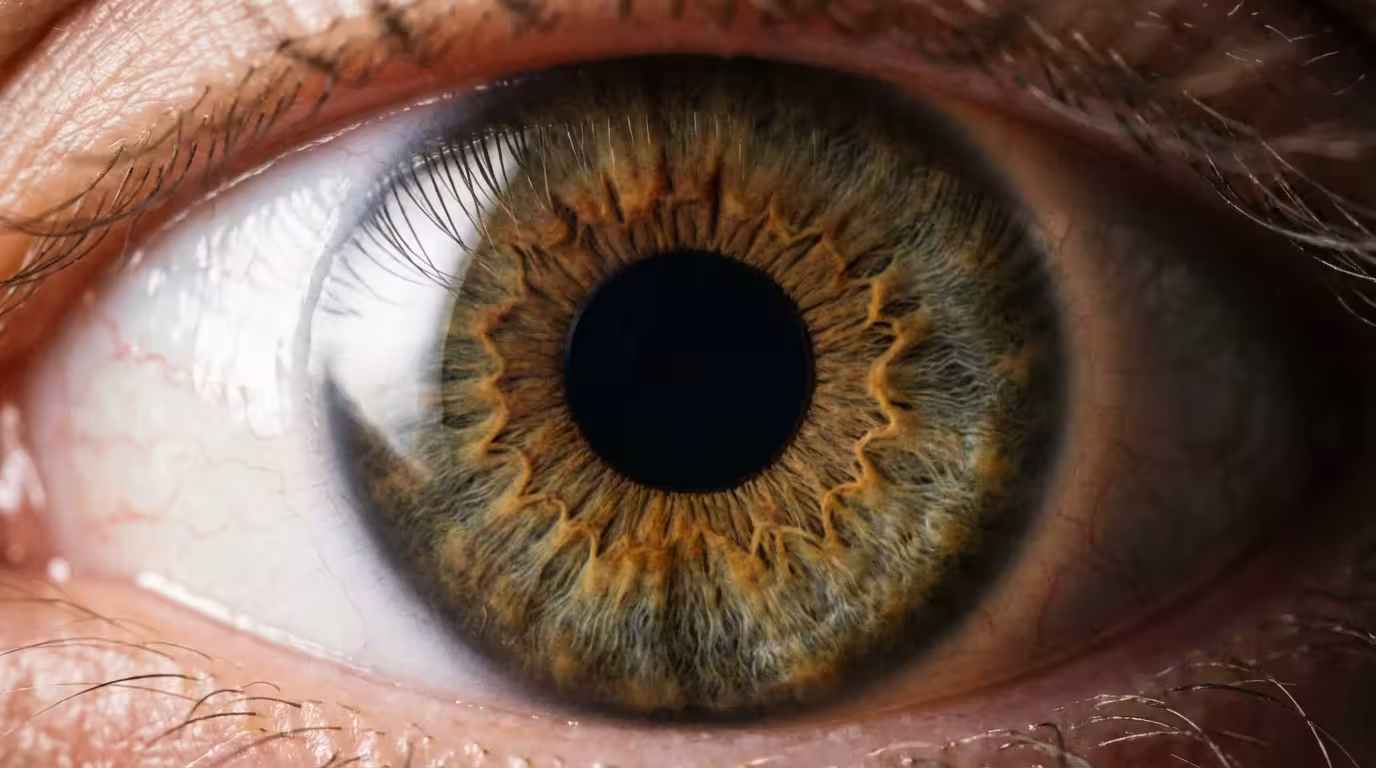 Extreme close-up macro shot of a clear human eye showing the iris and pupil.